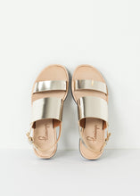 画像をギャラリービューアに読み込む, Aqualina Sandal