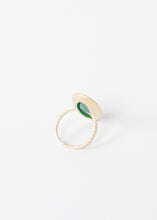 画像をギャラリービューアに読み込む, Ara Ring