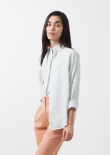 画像をギャラリービューアに読み込む, Classic Button Down